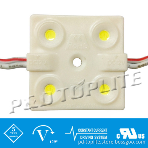 UL SMD 5050 0.96W IP65 Injection Waterproof LED Module